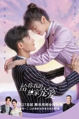 《给你我的独家宠爱》：甜度超标！霸道总裁爱上我的高糖恋爱，狗粮管饱！