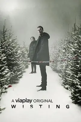 《警探维斯廷 第五季》：冰冷北欧再燃罪恶之火，烧脑剧情升级回归！