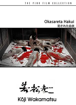 《被侵犯的白衣》：探索人性黑暗与救赎的惊悚之旅，这部电影如何揭露社会隐痛？